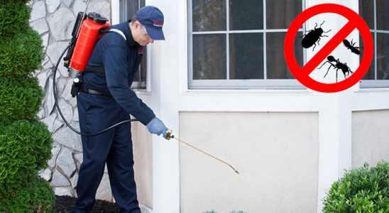Kuyucak Karınca İlaçlama böcek ilaçlama ve haşere kontrolü — ilaclama-tr.com